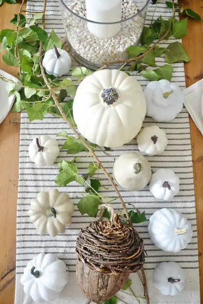 Various sizes of white pumpkins create a lovely fall centerpiece (modernhomedecor.eu)
