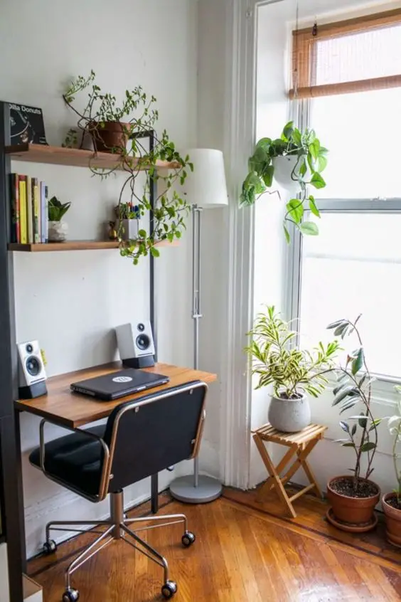 Adding green plants to transform your workplace