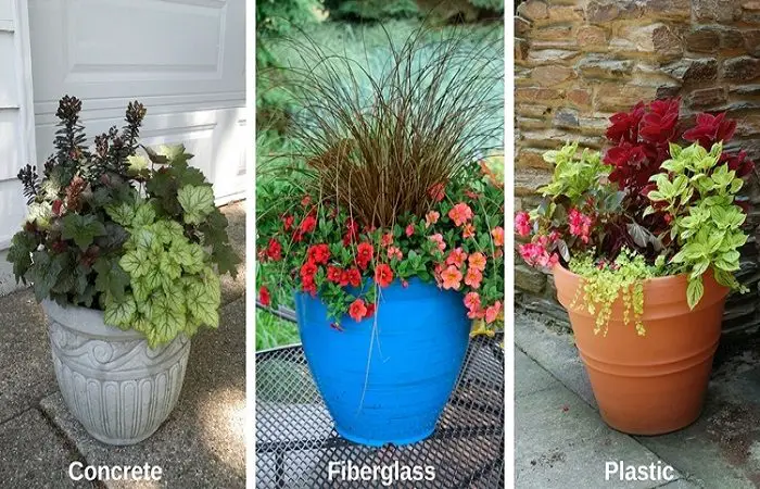 Best inexpensive ways to spice up your garden