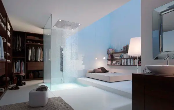 Luxurious shower room design