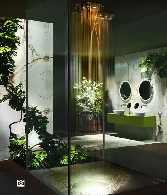 exotic shower room design