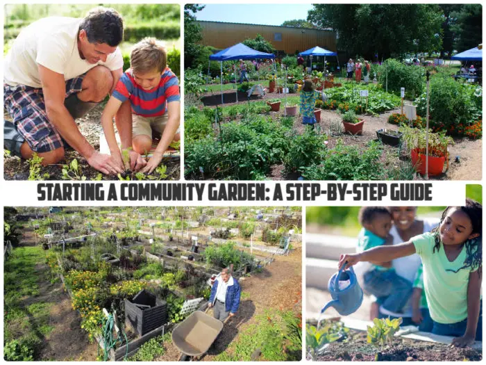 Starting a community garden: a step-by-step guide