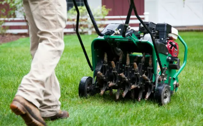 Aerate lawn